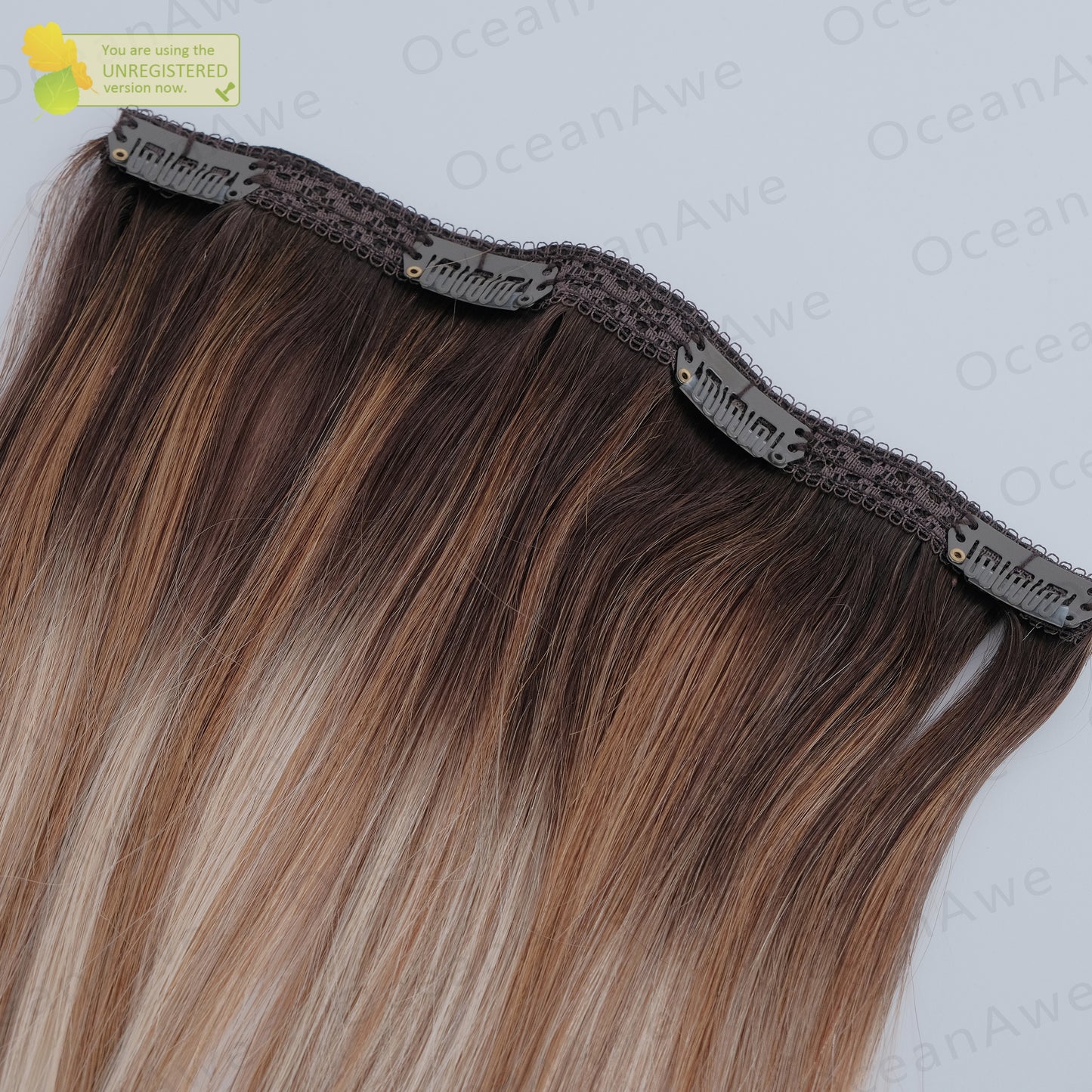 Remy Clip-in Hair Extensions