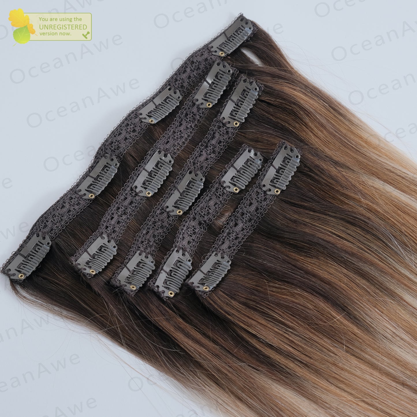 Remy Clip-in Hair Extensions